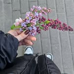 Erwin Carter - @albykoober - Instagram