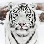 Erwin Claiborne - Facebook