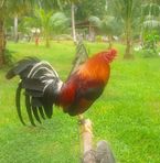 Erwin Clarin Sabellano - Facebook