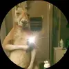 Erwin chupalooo - @erwincoronel7 - TikTok