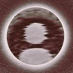 Erwin Delgado - @erwindelgado800 - Instagram