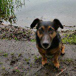 erwin derks - @eagderks77 - Instagram