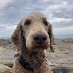 Erwin Derks - @erwin_derks_73 - Instagram