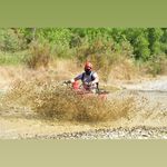 Erwin Driessen - @erwindriessen80 - Instagram