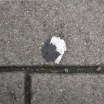 Erwin Driessens - @erwin.driessens - Instagram