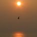 Erwin Driessens - Facebook