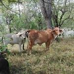 Erwin Dubón - @erwin_dubo_ - Instagram