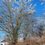 Erwin Eberle - Facebook