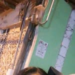 Erwin Escalante - @erwinescalante24 - Instagram