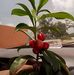 Erwin Escalante - Facebook