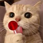 Erwin Escalante Huaman - @erwinescalantehuaman - Instagram