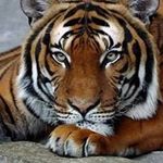 Erwin Escobar - @erwinescobar9 - Instagram
