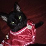 Erwin Espinoza - @erwin.espinoza.940641 - Instagram