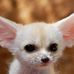 Erwin Fox - Facebook