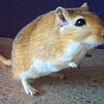 Erwin Frank - @erwin.frank.92 - Instagram