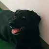 Erwin Frei - @erwin.frei - TikTok