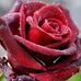 Erwin Freiter - Facebook