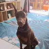 Erwin - @erwin.fuentes - TikTok