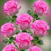 Erwin Fuentes - Facebook