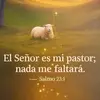 Erwin Gallardo - @erwin.gallardo57 - TikTok
