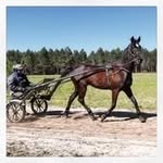 @erwinganzinotti - Instagram