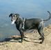 Erwin Gerlach - Facebook