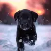 Erwin Gerlach - @erwin.gerlach7 - TikTok