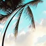 Erwin Godoy - @juegodro - Instagram