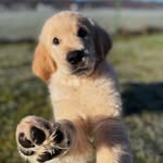Erwin - @goldenboyerwin - Instagram