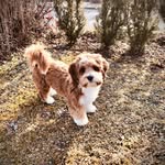 Erwin Graf - @erwin_the_heartbreaker - Instagram