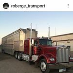 erwin graham - @erwingraham49 - Instagram