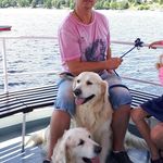 Erwin Green - @golden.retriever2010 - Instagram