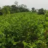 Erwin Green - @erwin.green2 - TikTok