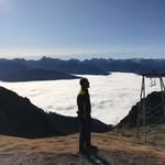 Erwin Gross - @erwin44703 - Instagram