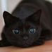 Erwin Gross - Facebook