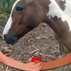 Erwin Guerrero - @erwin.guerrero1 - TikTok