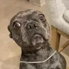 halleerwin - @halleerwin - TikTok