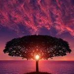 Erwin Hansma - @erwinhansma - Instagram
