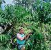 Erwin Haris - Facebook