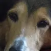 erwin hartmann - @erwin.hartmann - TikTok