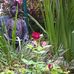 Erwin Hecker - Facebook