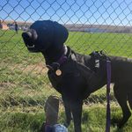 Ashlee Legault - @erwin.heining - Instagram