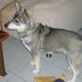 Erwin Heinrich - Facebook