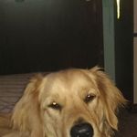 Erwin Hermann - @erwin.hermann.5872 - Instagram