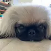 Erwin Hermann - @e.hermann - TikTok