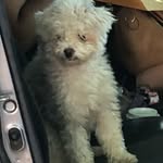 Erwin Herrera - @erwinherrera4 - Instagram