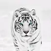 Erwin Hidalgo - @erwinner.go - TikTok