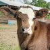 Erwin Hill Farm - Facebook
