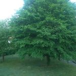 Erwin Hintz - @erwin.hintz.31 - Instagram