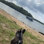 Erwin - @erwin_hirschi - Instagram